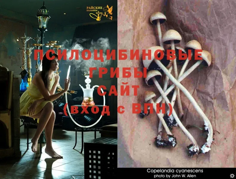 Псилоцибиновые грибы MAGIC MUSHROOMS  мориарти телеграм  Палласовка 